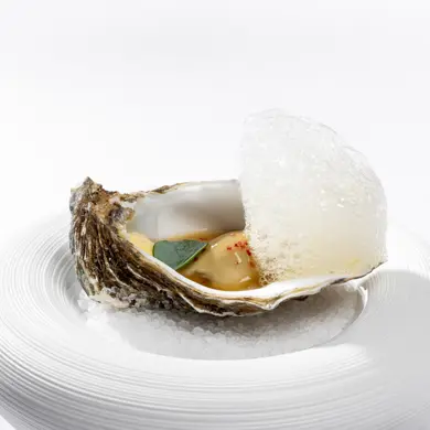 2504 Les Trois Rois Cheval Blanc 3 72Dpi