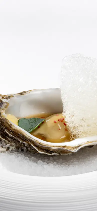 2504 Les Trois Rois Cheval Blanc 3 72Dpi